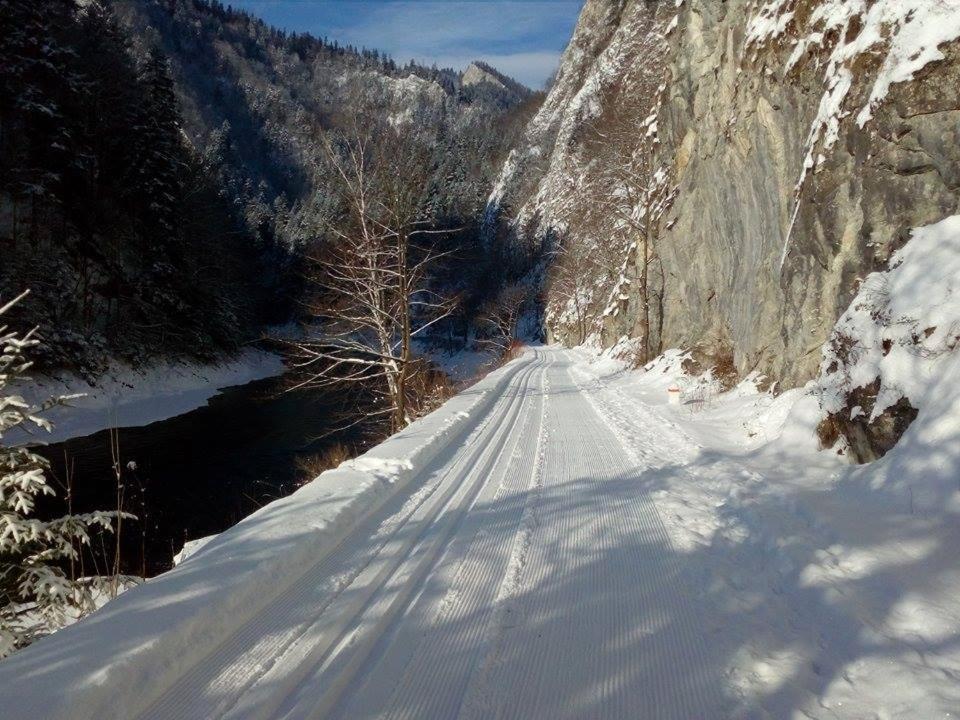 Hotel Schronisko Pttk Orlica Szczawnica Exteriér fotografie